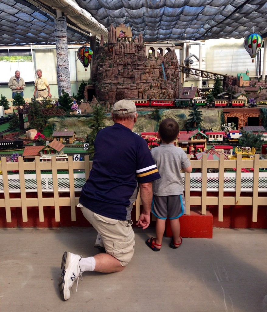 V__5777 Shady Lane Greenhouses