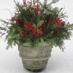 Photo of outdoor evergreen arrangement