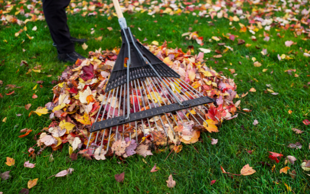 Spring Garden Clean Up