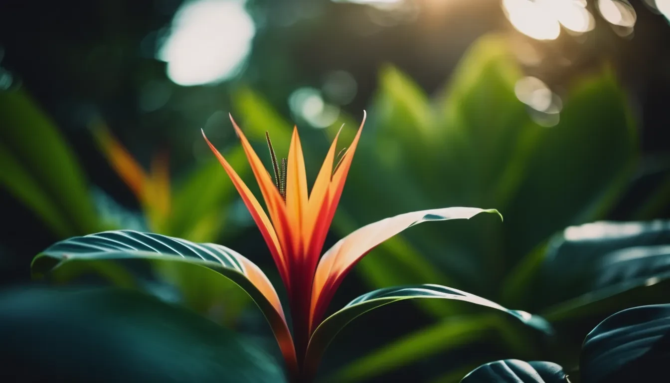 tropical1