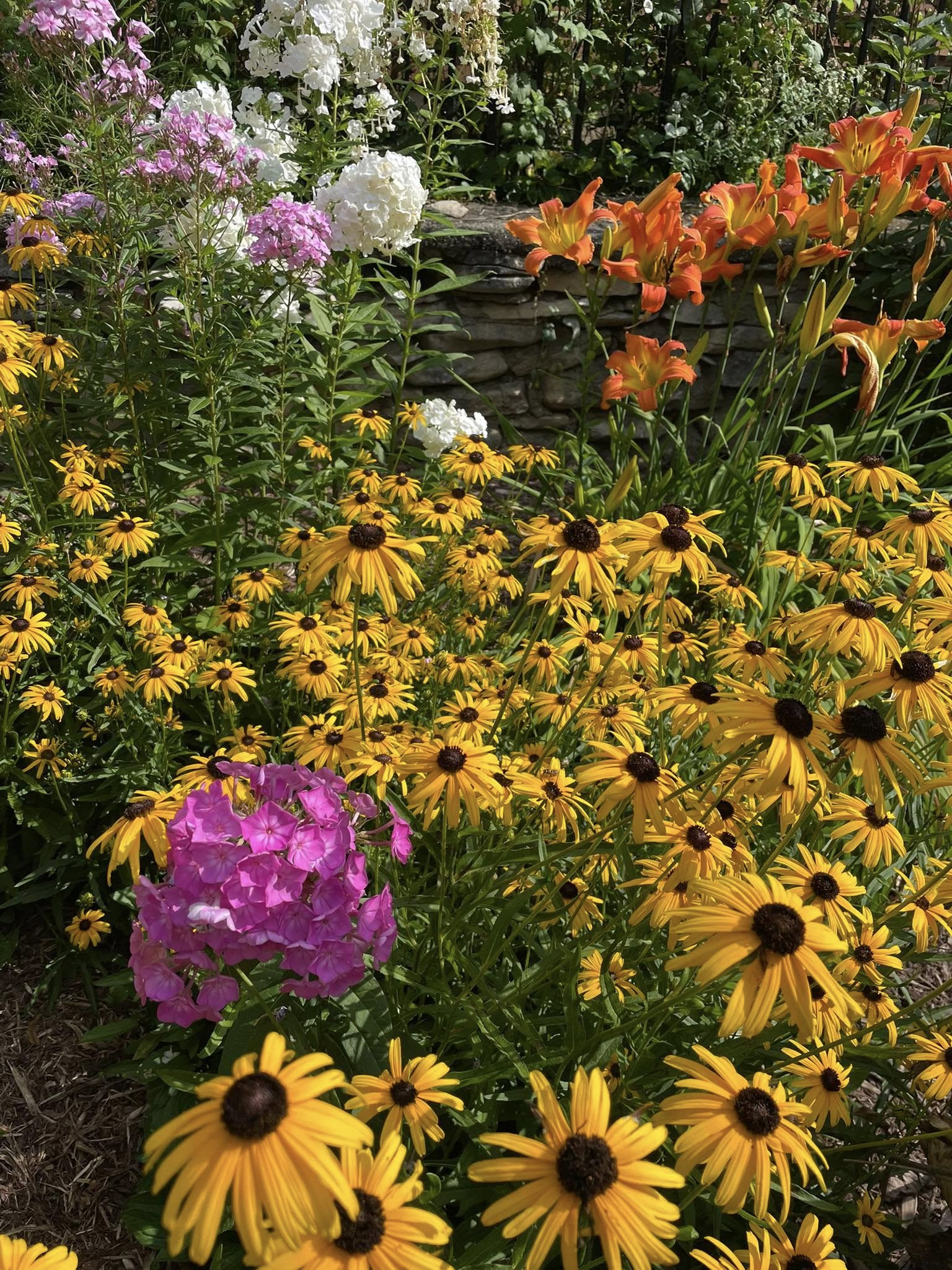 Perennial Gardens 3.28.2025