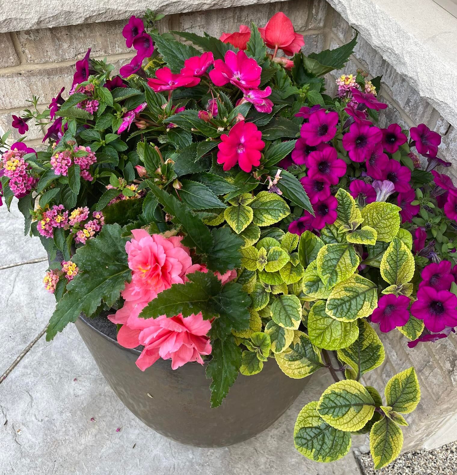 floral beauty porch pot