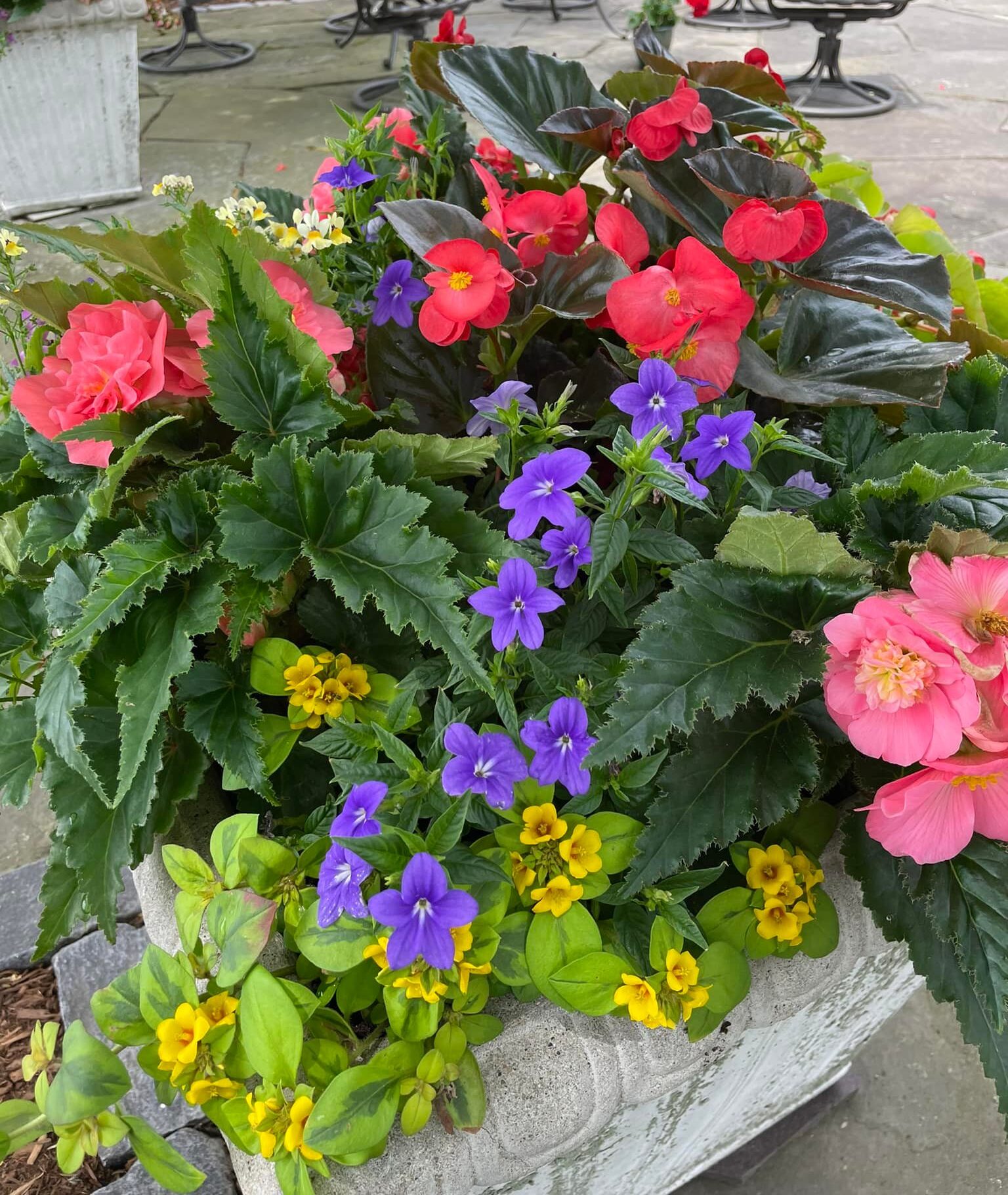 patio porch pot