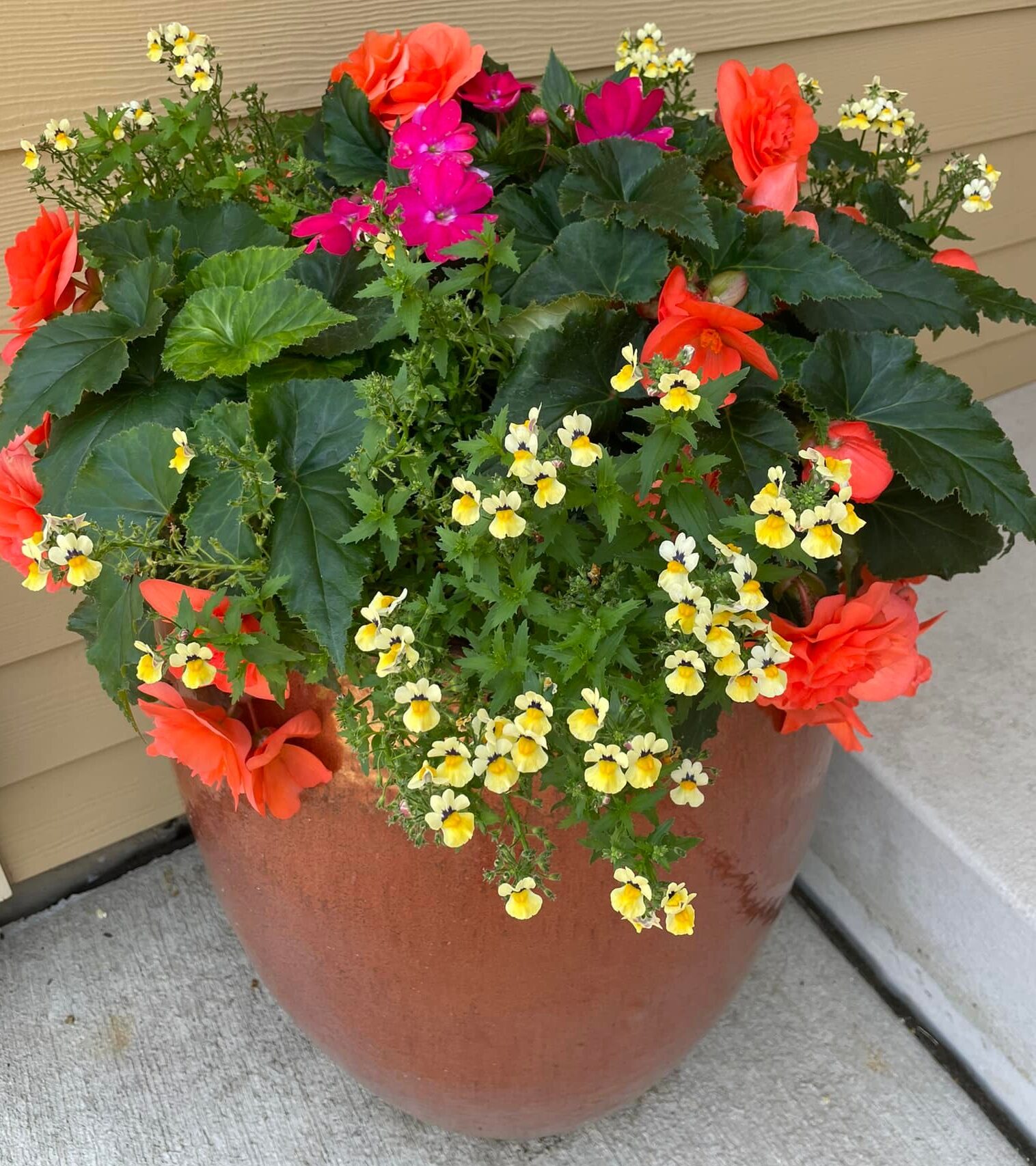 porch pot 1
