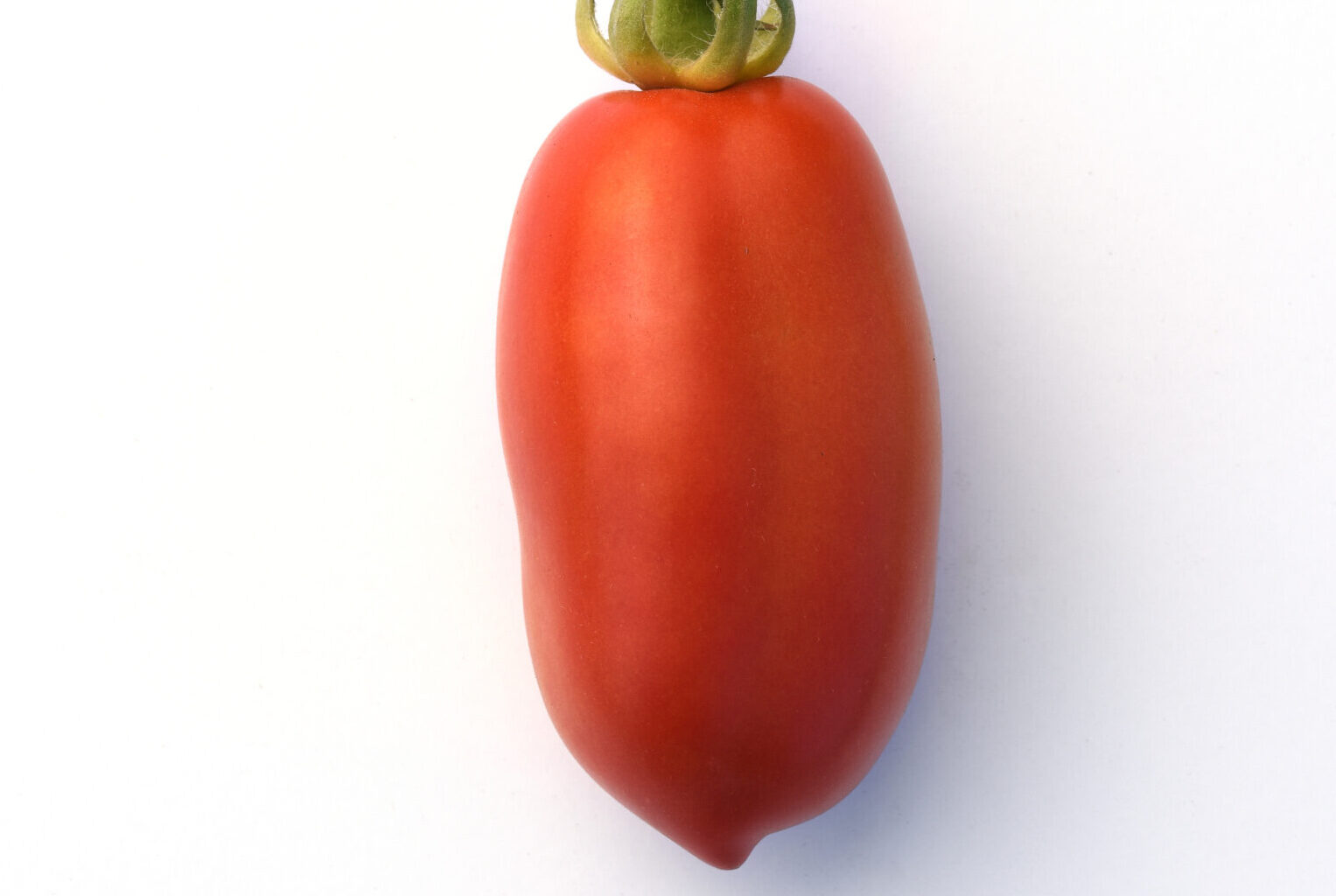 San_marzano_Vegetable (1)